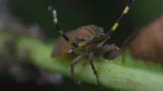 Zázračná planeta: Planeta Země III (5/8)