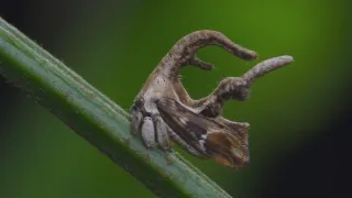 Zázračná planeta: Planeta Země III (5/8)