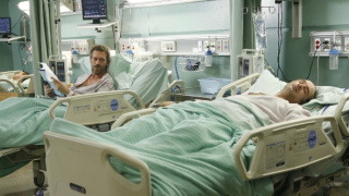 Dr. House II (24/24)