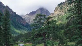 Tajemné opice ze Šangri-la