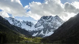 Tajemné opice ze Šangri-la