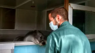 Modrá planeta - další expedice (2/4)