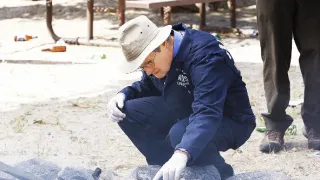 Námořní vyšetřovací služba VII (23)