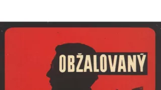 Obžalovaný