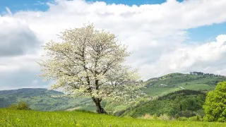 Krajinou domova (6/8)