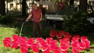 Zasaďme se o stromy