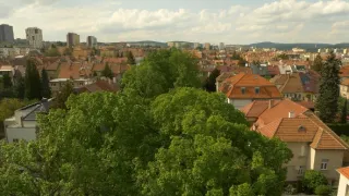 Zasaďme se o stromy