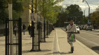 Zasaďme se o stromy