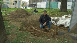 Zasaďme se o stromy