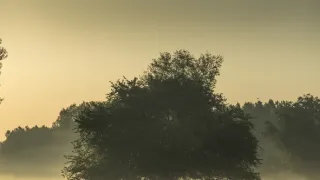 Příběh krajiny luk