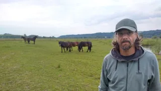 Krajina Dana Bárty (1/6)