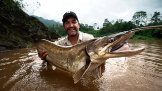 Zebova velká ryba (3)