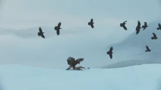 Nevlídná planeta (3)