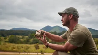 Prírodní bojovníci (2)