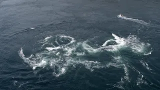 Zázračná planéta: Pozoruhodná planéta Zem (4/4)