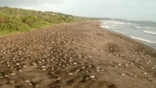 Zázračná planéta: Pozoruhodná planéta Zem (4/4)