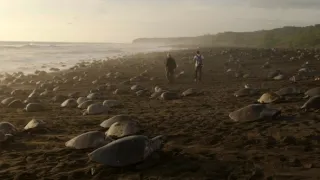 Zázračná planéta: Pozoruhodná planéta Zem (4/4)