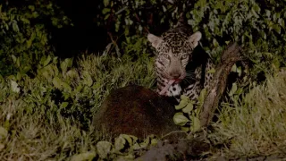 Kostarika - vzostup prírody (1/3)