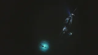 Dokonalí mořští predátoři (1/4)