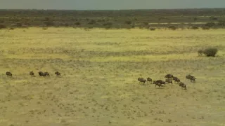 Afrikou letom svetom (3/6)