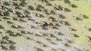 Afrikou letom svetom (3/6)