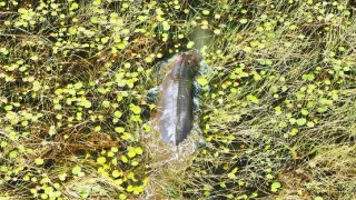 Afrikou letom svetom (3/6)