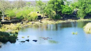 Afrikou letom svetom (3/6)