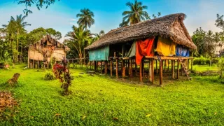 Papua-Nová Guinea, život kmeňov