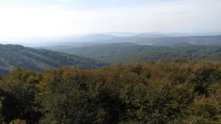 Divočina bez hranic (10)