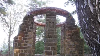 Divočina bez hranic (10)