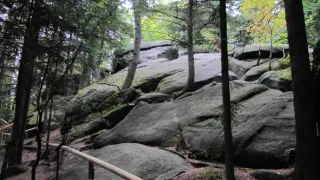 Divočina bez hranic (10)