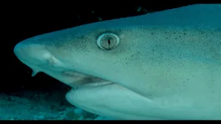 Kostarika - vzostup prírody (2/3)