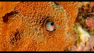 Kostarika - vzostup prírody (2/3)