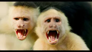 Kostarika - vzostup prírody (2/3)