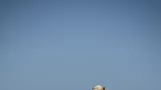 Na cestě po emirátském Ras Al-Khaimah