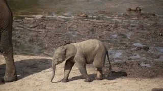 Zázračná planéta: Krajina pohľadom z vesmíru (2/4)