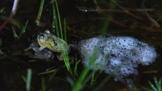 Zázračná planéta: Krajina pohľadom z vesmíru (2/4)