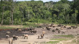 Zázračná planéta: Krajina pohľadom z vesmíru (2/4)