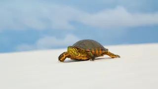 Zázračná planéta: Krajina pohľadom z vesmíru (2/4)