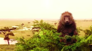 Zázračná planéta: Serengeti II (1/6)