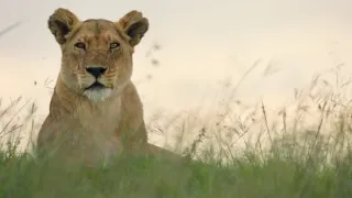 Zázračná planéta: Dynastie (3/5)