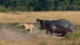 Zázračná planéta: Dynastie (3/5)