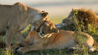 Zázračná planéta: Dynastie (3/5)