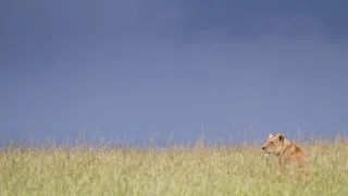 Zázračná planéta: Dynastie (3/5)