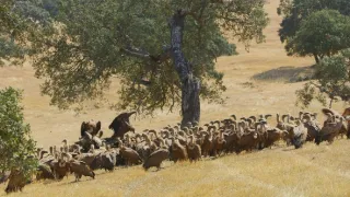 Nezkrotné Portugalsko (2)