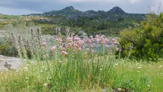 Nezkrotné Portugalsko (2)