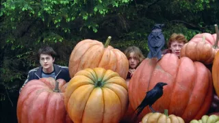 Harry Potter és az azkabani fogoly