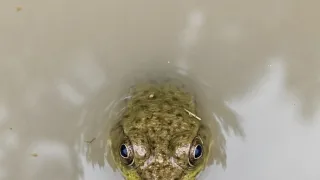 Tajemství Velkých jezer (3/3)