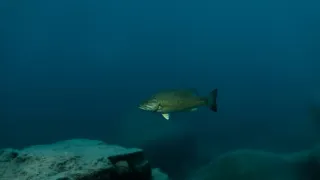 Tajemství Velkých jezer (3/3)