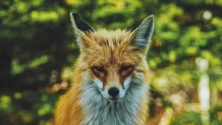 Tajemství Velkých jezer (3/3)